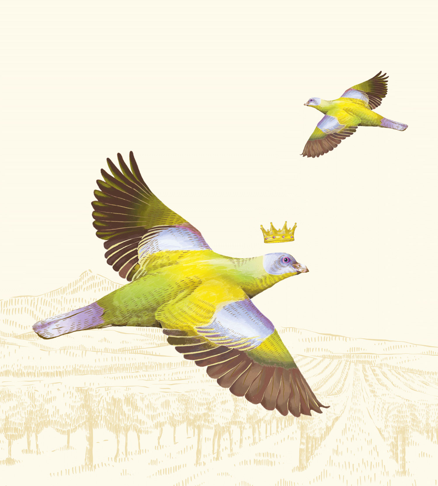 Illustration of Hariyal birds in flight above the vineyard